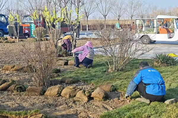 北京清颐园人文纪念园三月份月度服务报告